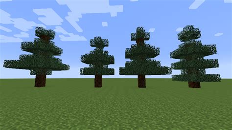 File:Spruce Trees.png – Official Minecraft Wiki