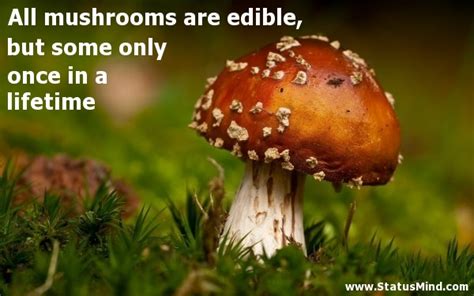 Famous Mushroom Quotes. QuotesGram