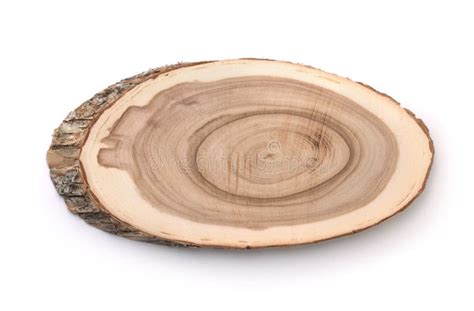 Tree trunk cross section stock image. Image of organic - 175628753