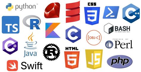 21 Most Popular Programming Languages in the World (and where to learn ...