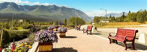 Haines Junction Yukon - Hotels, Camping, Things To Do