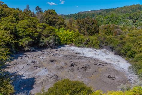 Mud Pools at Te Puia at New Zealand Stock Photo - Image of geothermal ...