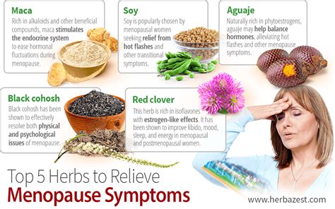 Top 5 Herbs to Relieve Menopause Symptoms | HerbaZest