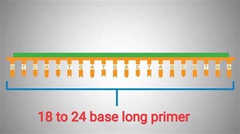 How to Design Primer for PCR ~ Biotechfront