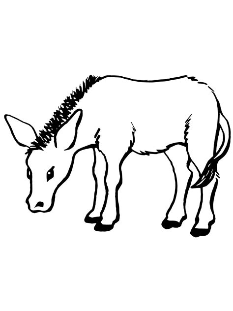 Free Printable Donkey Coloring Pages For Kids