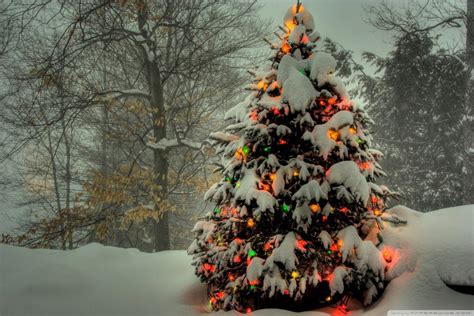 Bing Christmas Tree Wallpapers - Wallpaper Cave