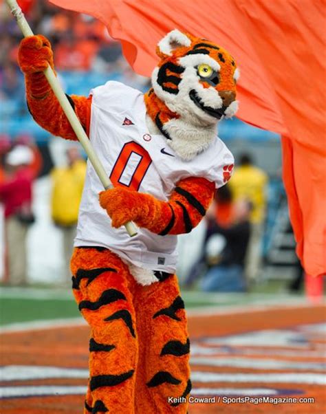 Pin by Sue Rummery on College Mascots | Pinterest