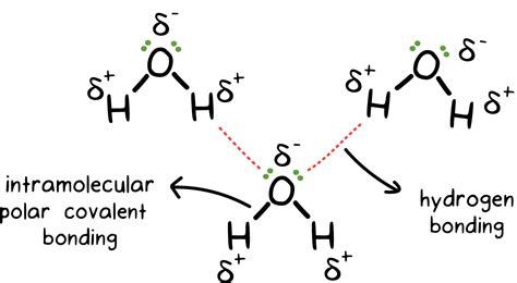 Intermolecular Force: Types and Examples – StudiousGuy