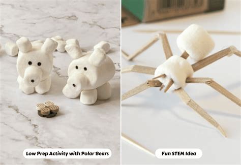 Marshmallow And Toothpick Activity