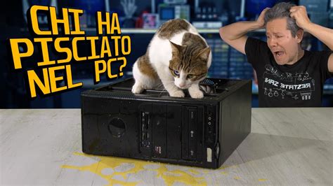 Chi ha pisciato nel computer? - Benchmark Huananzhi X99-F8 +Xeon E5 ...