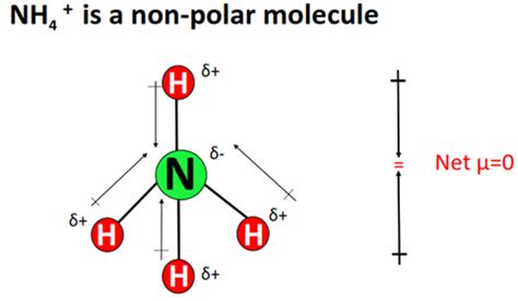 NH4+ lewis structure, molecular geometry, bond angle, hybridization