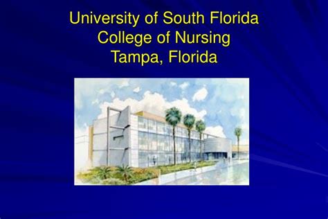 PPT - University of South Florida College of Nursing Tampa, Florida ...