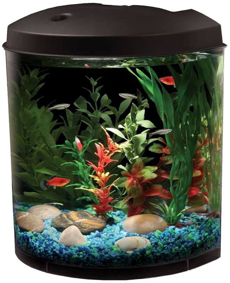 Freshwater Fish Aquariums & Habitat | Small fish tanks, Fish tank ...