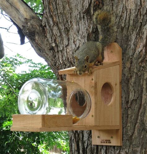 NutHouse Squirrel Jar Feeder - Great Gift and Entertainment for You and ...