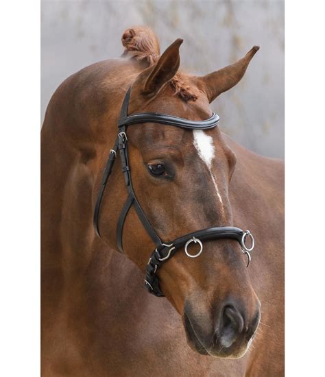 Leather Cavesson Soft & Light - Lungeing - Kramer Equestrian