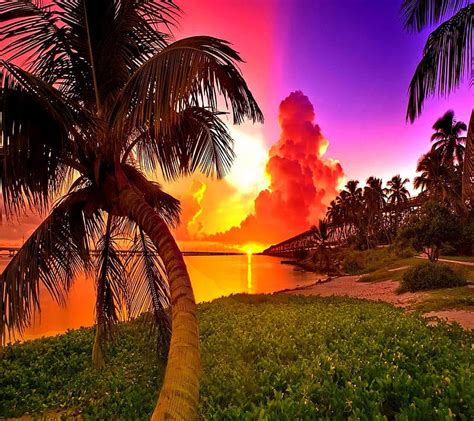 Tropical Sunrise, look, nice, HD wallpaper | Peakpx