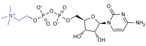 cdp-choline-structure-svg - Nootropic Geek