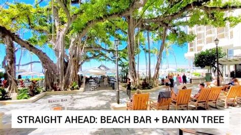 Moana Surfrider Beach Bar in Waikiki for VIEWS! 🌴 Oahu travel blog ...