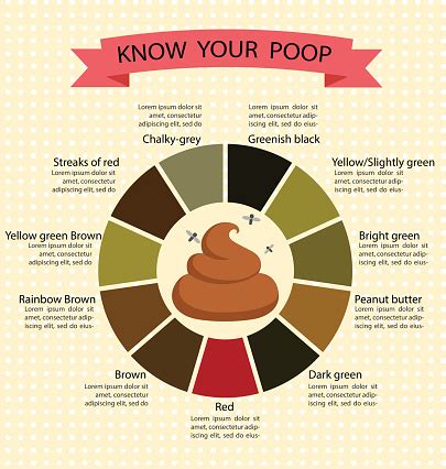 Poo Colour Chart