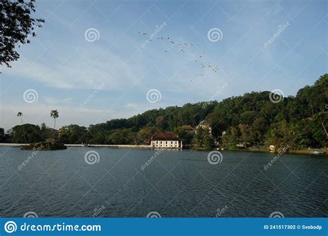 Lake in Kandy with Temple of the Sacred Tooth Relic Stock Photo - Image ...