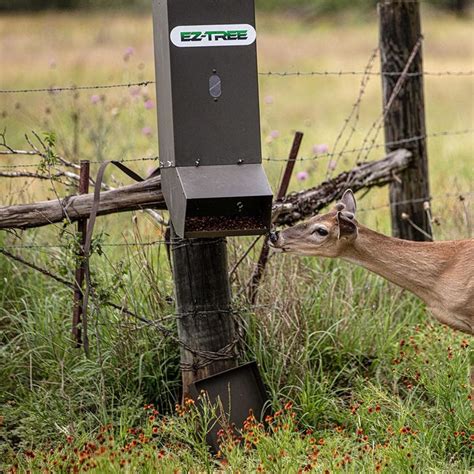 EZ Tree-Mounted Deer Feeder for Rice Bran, Corn, & More – All Seasons ...