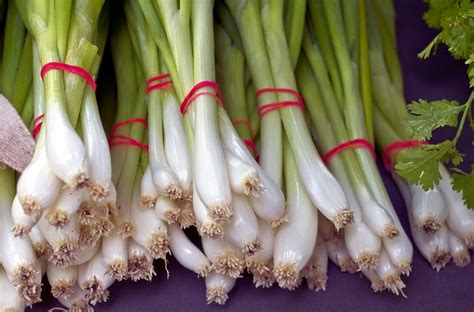 How to Store Green Onions in the Fridge