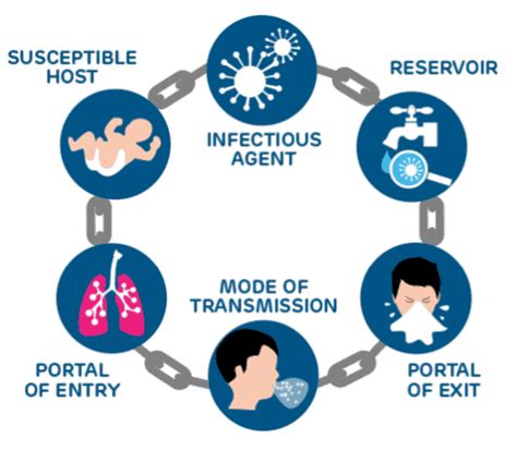 Infection and its various types - Overall Science