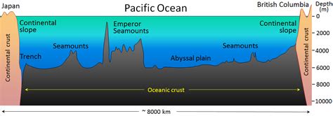 18.1 The Topography of the Sea Floor – Physical Geology