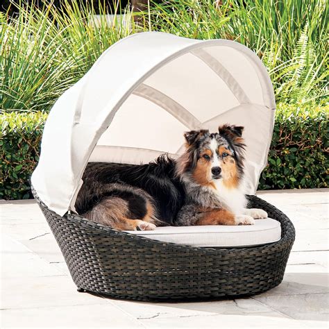 20+ Canopy Bed For Dog