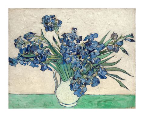 Iris Painting Van Gogh