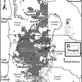 Distribution of forest age-classes on the Tillamook and Clatsop State ...