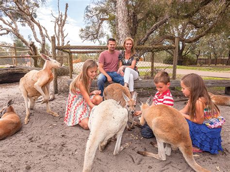 Caversham Wildlife Park Perth - Whiteman Park - Hello Perth