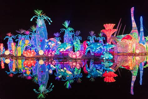 Dubai Garden Glow - Here's Why And When To Visit! - swedbank.nl