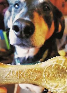 Lapdog Creations: Zuke's Z-Bones Make Dogs Smile #ChewyInfluencer # ...