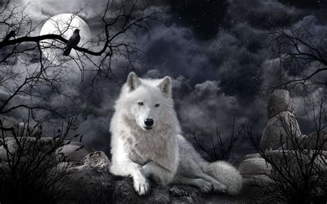 Computer Wolf Wallpapers - Top Free Computer Wolf Backgrounds ...