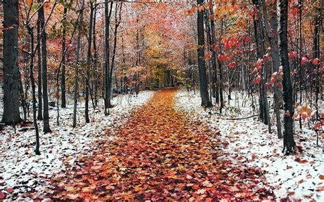 Fall Winter Wallpapers - Top Free Fall Winter Backgrounds - WallpaperAccess