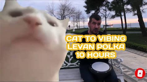 80 Vibing Cat Dancing Cat Meme Gif