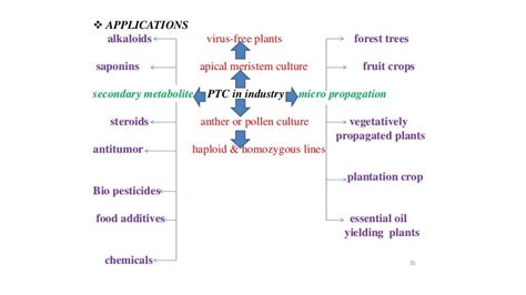 SOLUTION: Plant tissue culture industrial applications - Studypool