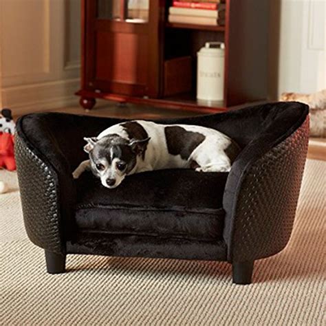 10 Awesome Dog Chairs To Keep Your Pet Comfy - Housely