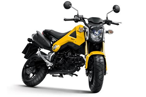 Surprise new mini-bike from Honda | Visordown