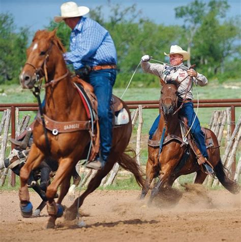 Are you looking ti finesse the small details of your roping skills? See ...