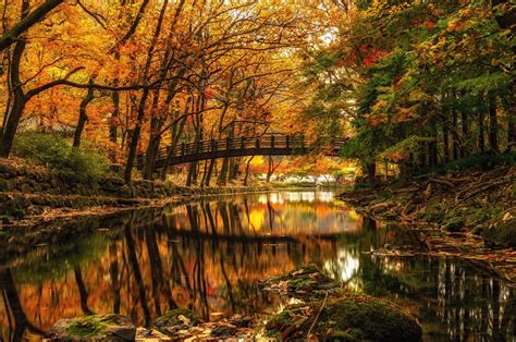 autumn, River, Bridge, Park, Trees Wallpapers HD / Desktop and Mobile ...