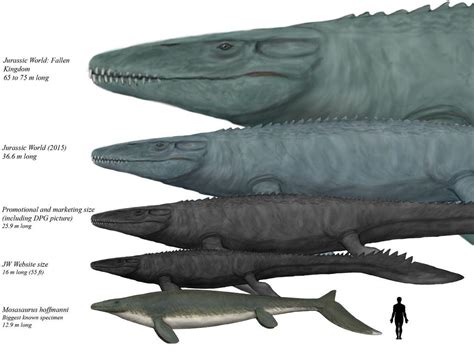 I always find it hilarious how gigantic the mosasaurs was in Jurassic ...