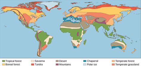 Terrestrial Biomes | Boundless Biology