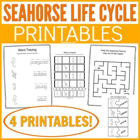 Seahorse Facts and Life Cycle Printables - About a Mom