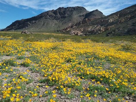 Sierra Vista Trail Hiking Trail, Las Cruces, New Mexico