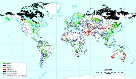 Wetlands Biome Map