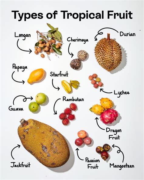 Types of Tropical Fruit | The Kitchn