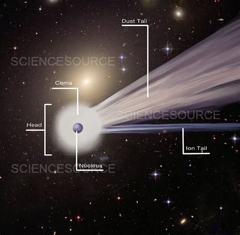 Asteroid Diagram Of Parts