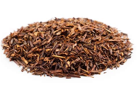 Rooibos - Wikipedia